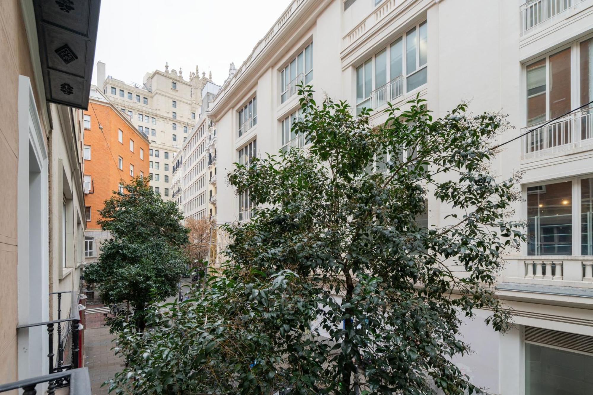 Dobo Madrid Luna 外观 照片